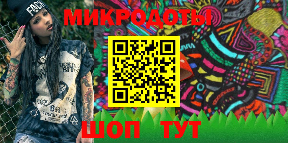 Псилоцибиновые грибы Psilocybe Гагарин